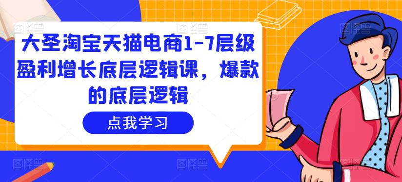 大圣淘宝天猫电商1-7层级盈利增长底层逻辑课，爆款的底层逻辑-网创资源社