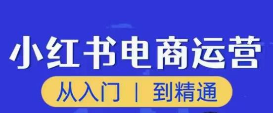 顽石小红书电商高阶运营课程，从入门到精通，玩法流程持续更新-网创资源社