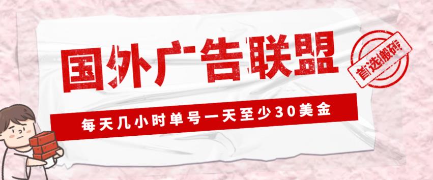 外面收费1980的最新国外LEAD广告联盟搬砖项目，单号一天至少30美金【详细玩法教程】-网创资源社