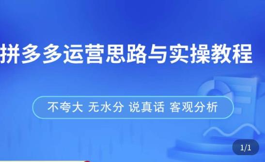 拼多多店铺运营思路与实操教程，快速学会拼多多开店和运营，少踩坑，多盈利-网创资源社