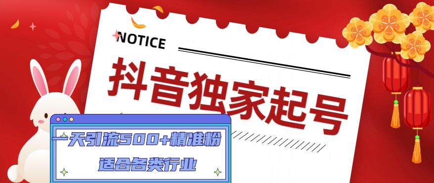 抖音独家起号，一天引流500+精准粉，适合各类行业（9节视频课）-网创资源社