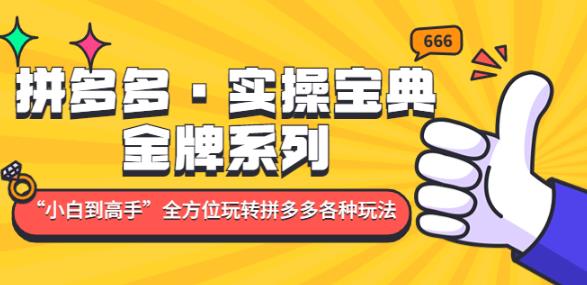 拼多多·实操宝典：金牌系列“小白到高手”带你全方位玩转拼多多各种玩法-网创资源社