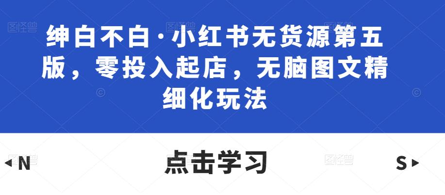 绅白不白·小红书无货源第五版，零投入起店，无脑图文精细化玩法-网创资源社