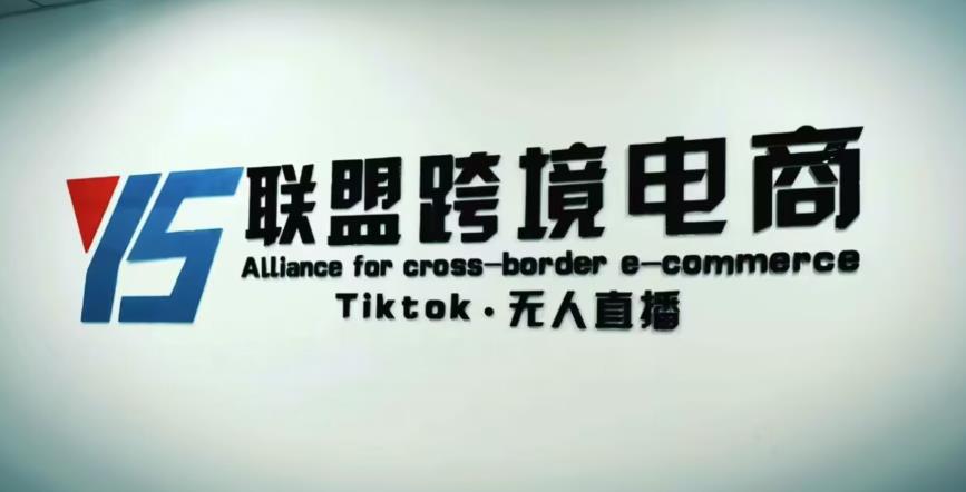 YS联盟·Tiktok无人直播，不出镜不剪辑不拍摄不发货无售后的跨境短视频躺赚玩法-网创资源社