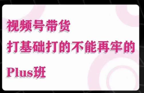 大播汇·视频号带货Puls班，视频号底层逻辑，起号自然流鱼塘等玩法-网创资源社