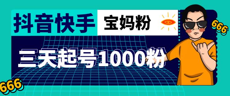 抖音快手三天起号涨粉1000宝妈粉丝的核心方法【详细玩法教程】-网创资源社