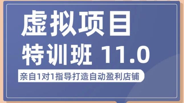 陆明明·虚拟项目特训班（10.0+11.0），0成本获取虚拟素材，0基础打造自动盈利店铺-网创资源社