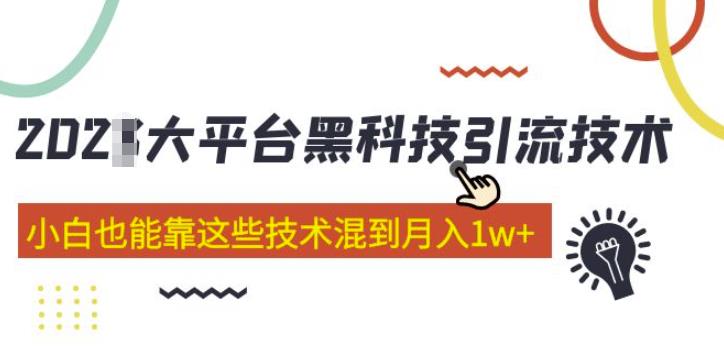 大平台黑科技引流技术，小白也能靠这些技术混到月入1w+(2022年的课程）-网创资源社