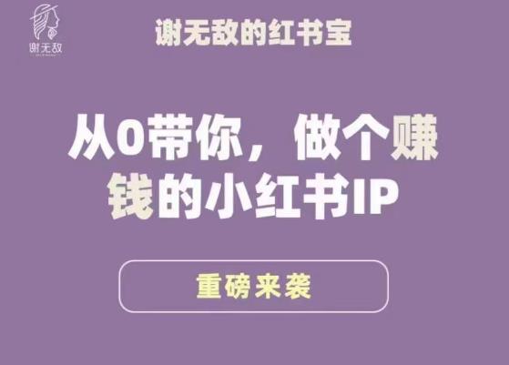 谢无敌·小红书运营大宝典，从0带你做个赚钱的小红书IP-网创资源社