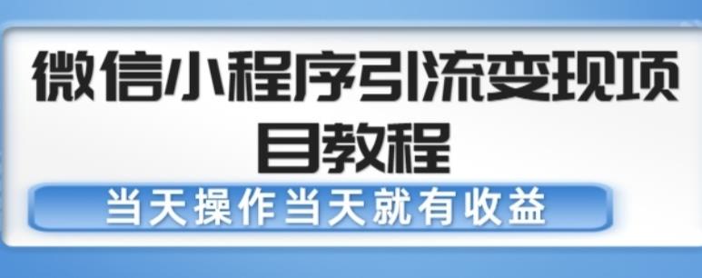 微信小程序引流变现项目教程，当天操作当天就有收益，变现不再是难事-网创资源社