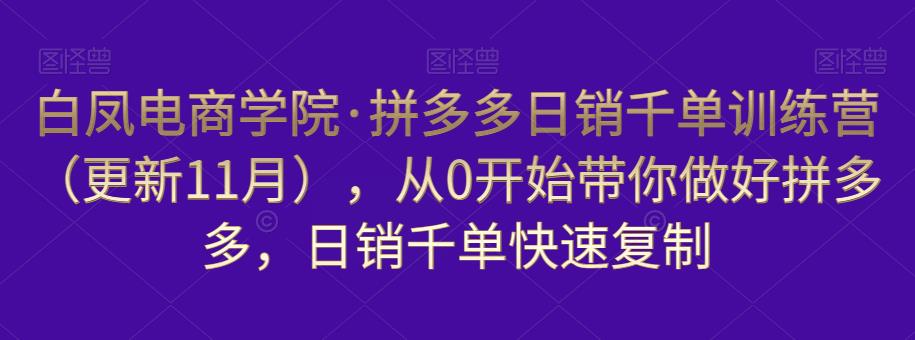 白凤电商学院·拼多多日销千单训练营，从0开始带你做好拼多多，日销千单快速复制（更新知2023年3月）-网创资源社