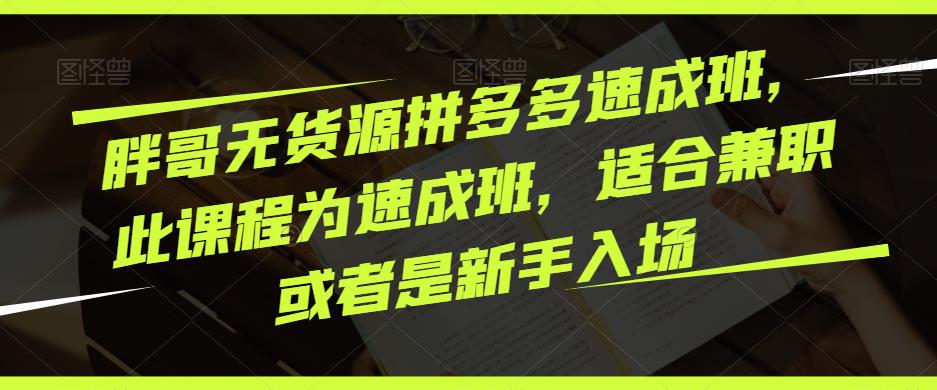 胖哥无货源拼多多速成班，此课程为速成班，适合兼职或者是新手入场-网创资源社