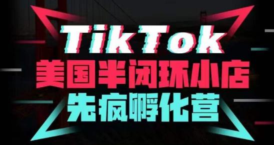 疯人院·TikTok美国半闭环小店孵化营，抢占TikTok美国蓝海市场，开店、运营、带货、投流全实操-网创资源社