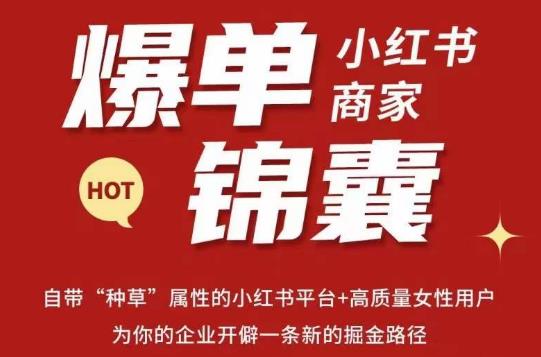 无畏·小红书商家爆单锦囊，掌握小红书各大规则，快速精准抢占行业和市场-网创资源社