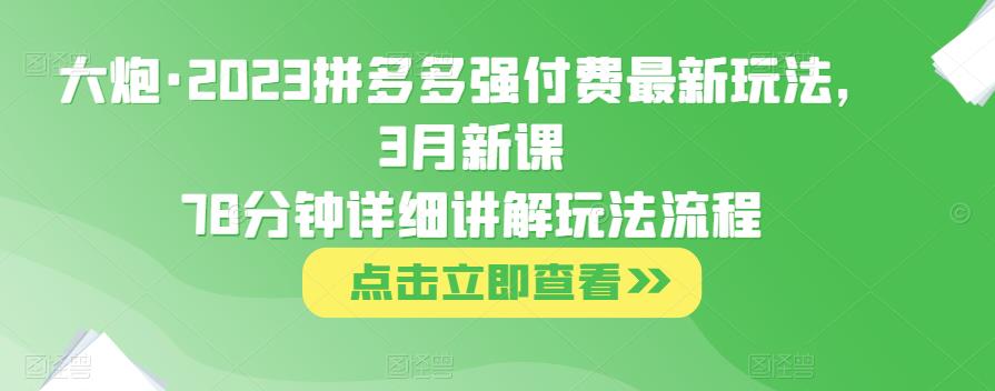 大炮·2023拼多多强付费最新玩法，3月新课​78分钟详细讲解玩法流程-网创资源社