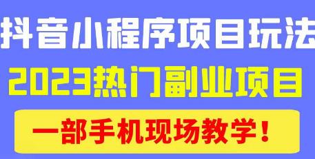 抖音小程序9.0新技巧，2023热门副业项目，动动手指轻松变现-网创资源社