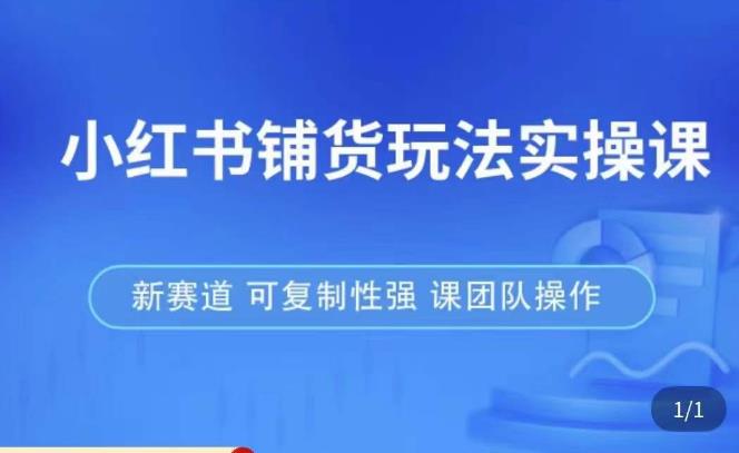 小红书铺货玩法实操课，流量大，竞争小，非常好做，新赛道，可复制性强，可团队操作-网创资源社