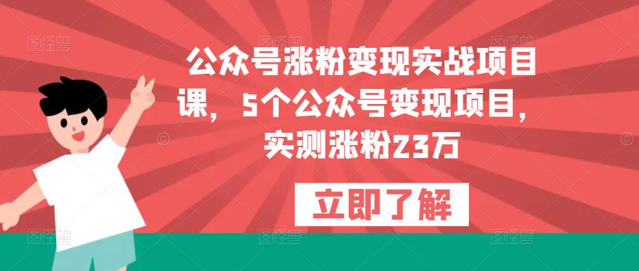 公众号涨粉变现实战项目课，5个公众号变现项目，实测涨粉23万-网创资源社