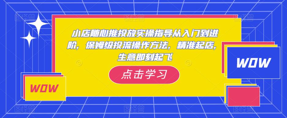 小店随心推投放实操指导从入门到进阶，保姆级投流操作方法，精准起店，生意即刻起飞-网创资源社