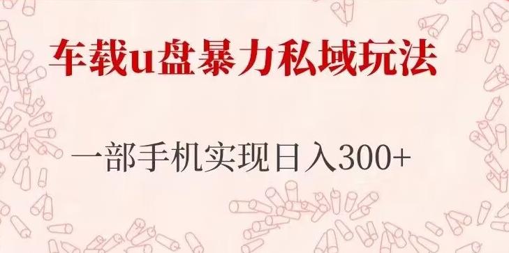 车载u盘暴力私域玩法，长期项目，仅需一部手机实现日入300+-网创资源社