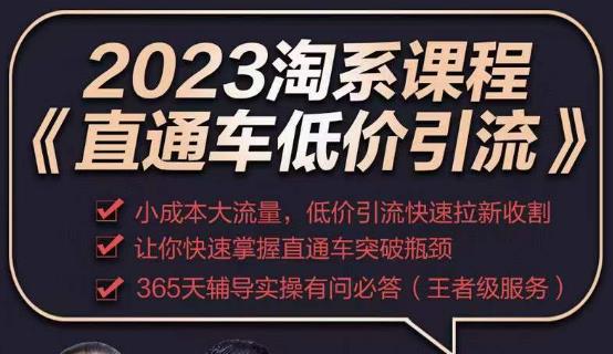 2023直通车低价引流玩法课程，小成本大流量，低价引流快速拉新收割，让你快速掌握直通车突破瓶颈-网创资源社