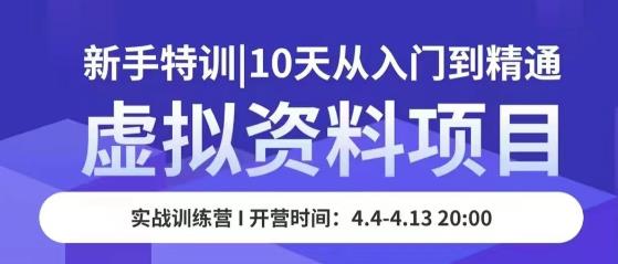 虚拟资料项目新手特训，10天从入门到精通，保姆级实操教学-网创资源社