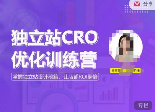 独立站CRO优化训练营，掌握独立站设计秘籍，打造高转化的独立站，让店铺ROI翻倍-网创资源社