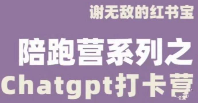 谢无敌ChatGPT打卡营，教你更好地使用ChatGPT来提高工作效率-网创资源社