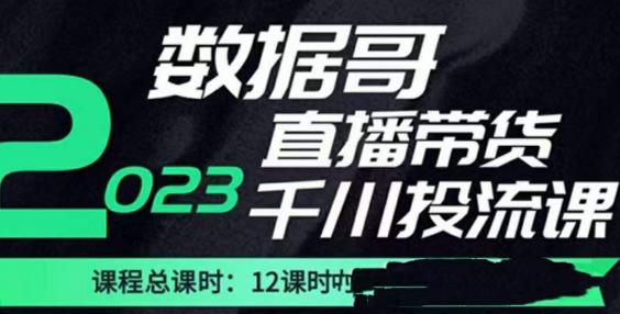 数据哥2023直播电商巨量千川付费投流实操课，快速掌握直播带货运营投放策略-网创资源社