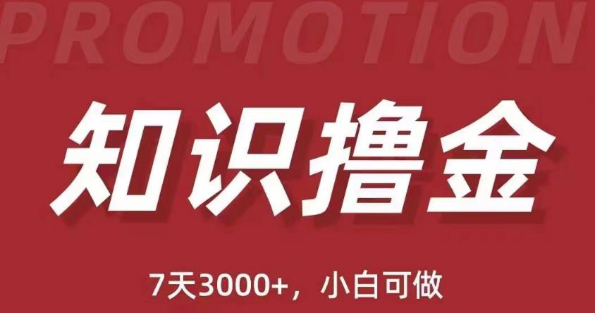 抖音知识撸金项目：简单粗暴日入1000+执行力强当天见收益(教程+资料)-网创资源社