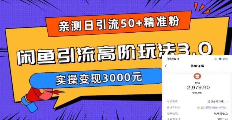 亲测日引50+精准粉，闲鱼引流高阶玩法3.0，实操变现3000元【揭秘】-网创资源社