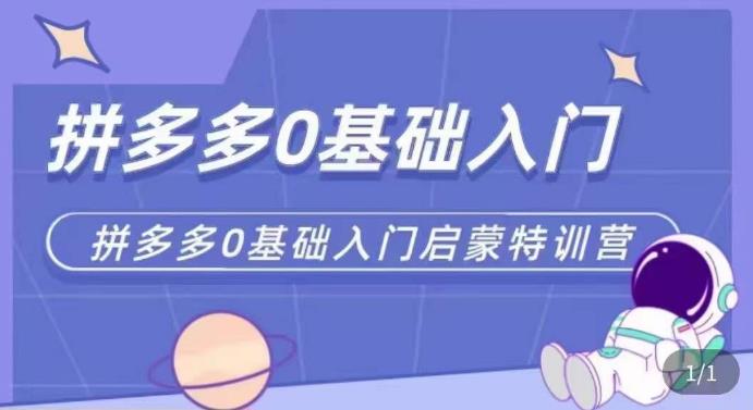 拼多多运营0-1实操特训营，拼多多0基础入门，从基础到进阶的可实操玩法-网创资源社