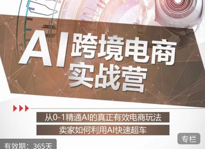 白龙老师·AI跨境电商实战营：从0-1精通Al的真正有效电商玩法，卖家如何利用Al快速超车-网创资源社