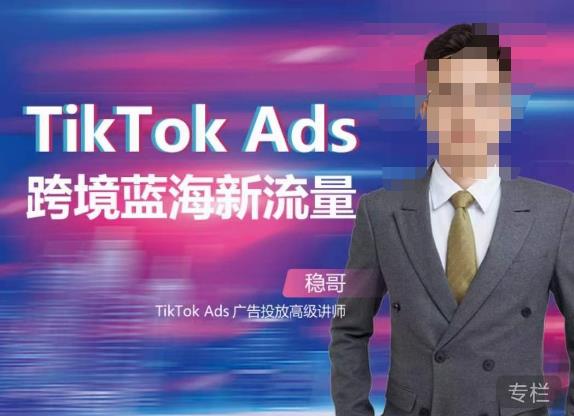 稳哥·如何投出高ROI的TikTok广告，开拓独立站卖家流量新蓝海-网创资源社