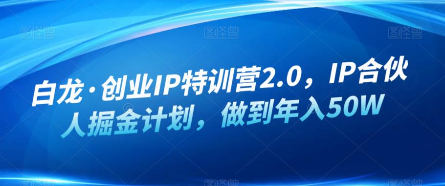 白龙·创业IP特训营2.0，IP合伙人掘金计划，做到年入50W-网创资源社