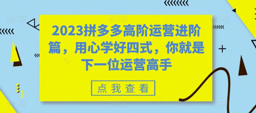 2023拼多多高阶运营进阶篇，用心学好四式，你就是下一位运营高手-网创资源社