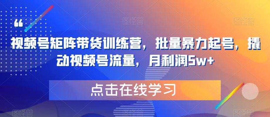 视频号矩阵带货训练营，批量暴力起号，撬动视频号流量，月利润5w+-网创资源社