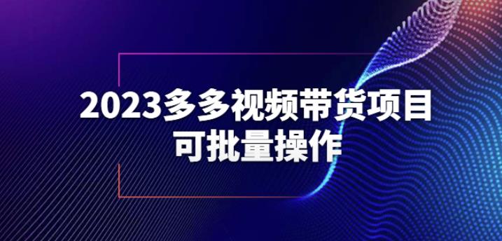 2023多多视频带货项目，可批量操作【保姆级教学】【揭秘】-网创资源社