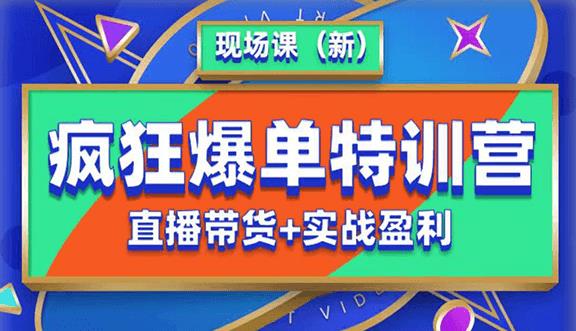 抖音短视频疯狂爆单特训营现场课（新）直播带货+实战案例-网创资源社