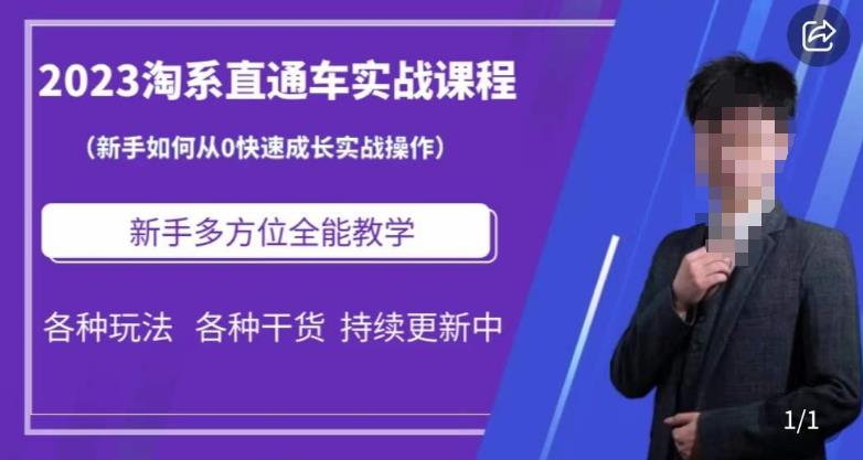 2023淘系直通车保姆式运营讲解，新手如何从0快速成长实战操作，新手多方位全能教学-网创资源社