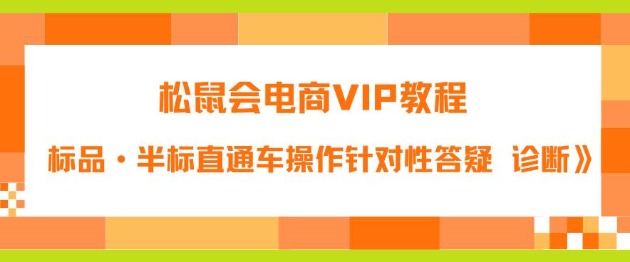 松鼠会电商VIP教程：松鼠《付费推广标品·半标直通车操作针对性答疑&诊断》-网创资源社