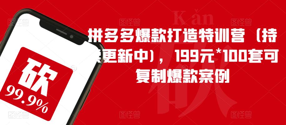 拼多多爆款打造特训营（持续更新中)，199元*100套可复制爆款案例-网创资源社