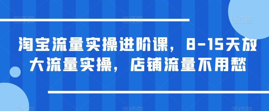 淘宝流量实操进阶课，8-15天放大流量实操，店铺流量不用愁-网创资源社