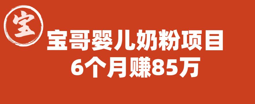 宝哥婴儿奶粉项目，6个月赚85w【图文非视频】【揭秘】-网创资源社