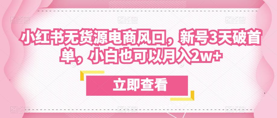 众狼电商余文小红书无货源电商风口，新号3天破首单，小白也可以月入2w+-网创资源社