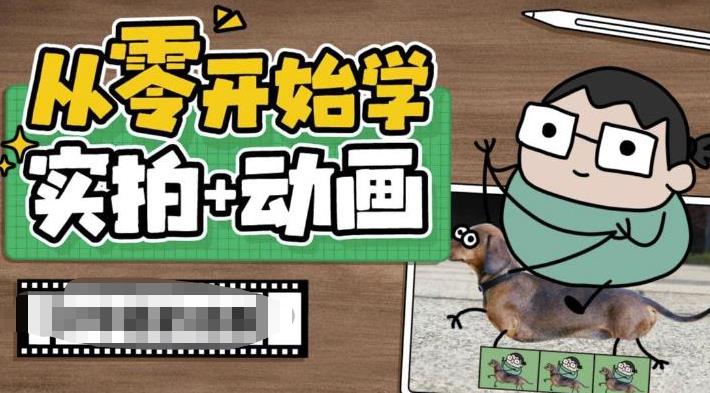 从零开始学实拍加动画，实拍加动画创意教程-网创资源社