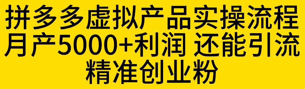 拼多多虚拟产品实操流程，月产5000+利润，还能引流精准创业粉【揭秘】-网创资源社