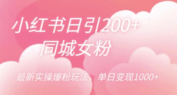 小红书日引200+同城女粉，最新实操爆粉玩法，单日变现1000+【揭秘】-网创资源社