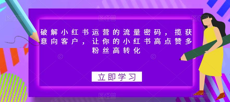 破解小红书运营的流量密码，揽获意向客户，让你的小红书高点赞多粉丝高转化-网创资源社