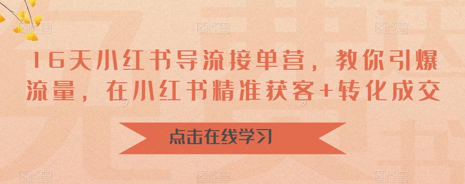 16天小红书导流接单营，教你引爆流量，在小红书精准获客+转化成交-网创资源社